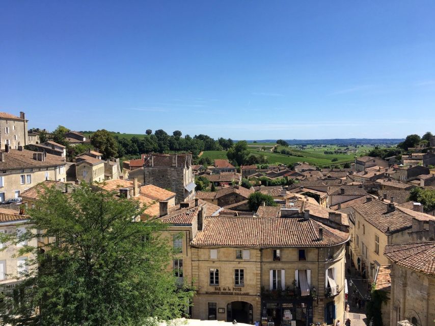 From Bordeaux: Saint-Emilion Guided Wine Tasting Tour - The family winery, cheese, and final glass