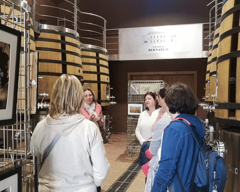 From Bordeaux: Saint-Émilion Half-Day Tour with Wine Tasting - Should you book this Saint-Émilion experience?