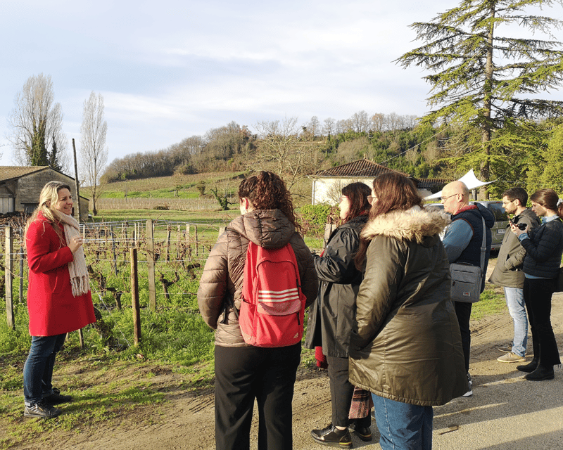 From Bordeaux: Saint-Émilion Half-Day Tour with Wine Tasting - Why this Saint-Émilion tour works well from Bordeaux