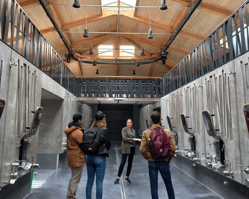 From Bordeaux: Saint-Émilion Half-Day Tour with Wine Tasting - Inside the organic family winery