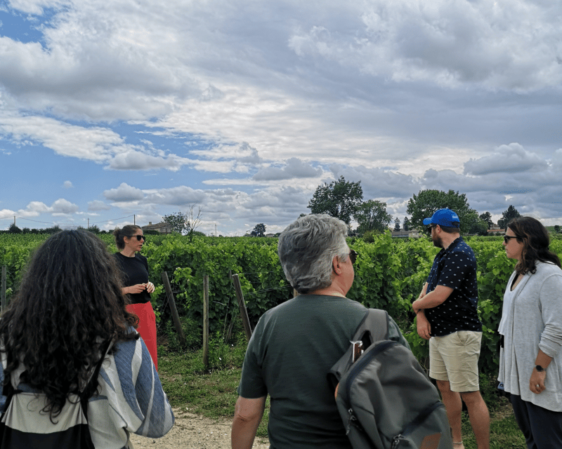 From Bordeaux: Saint-Émilion Half-Day Tour with Wine Tasting - The 50-minute ride into wine country