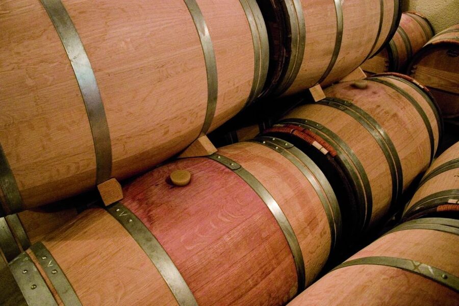 From Bordeaux: St. Emilion Village Half-Day Wine Tour - What happens during the one-hour winery visit