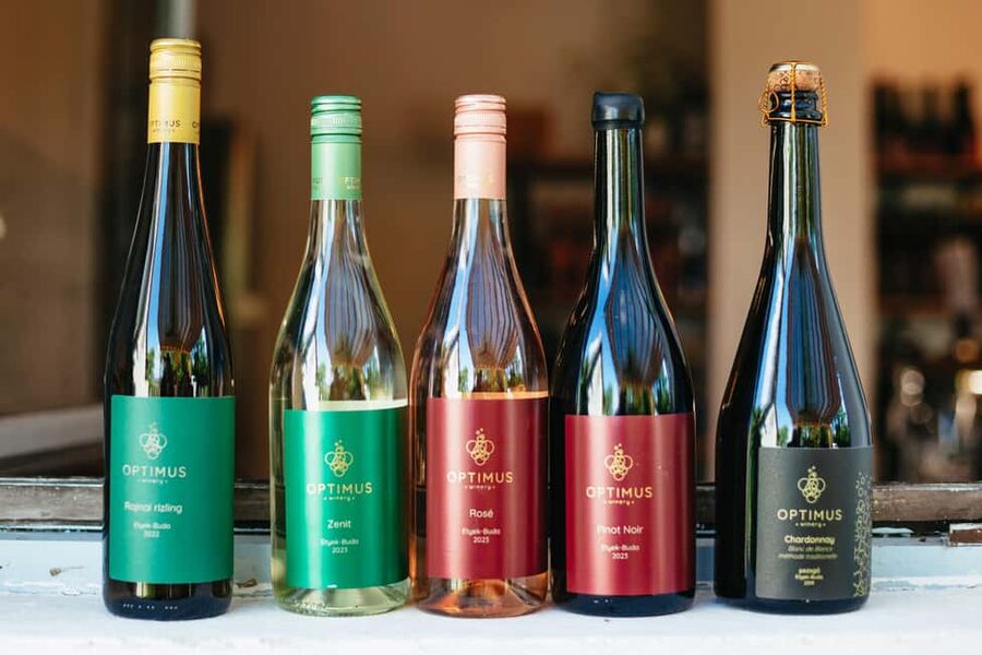 From Budapest: Half-Day Countryside Wine Tour with Meal - Should you book the Etyek wine tour?