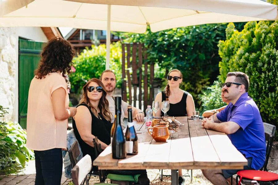 From Budapest: Half-Day Countryside Wine Tour with Meal - Why Etyek makes a good half-day from Budapest