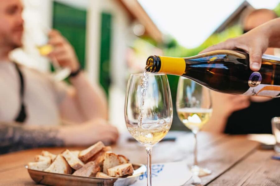 From Budapest: Half-Day Countryside Wine Tour with Meal - What the wine tasting is really like