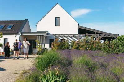 Half-Day Countryside Wine Tour with Meal
