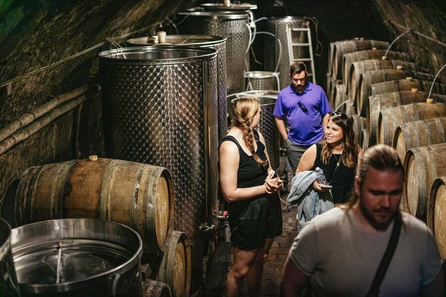 From Budapest: Half-Day Countryside Wine Tour with Meal - A small group makes the day easier