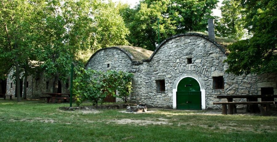From Budpaest: Páty Wine Village Tour with Tastings - What you taste, and how much food you get