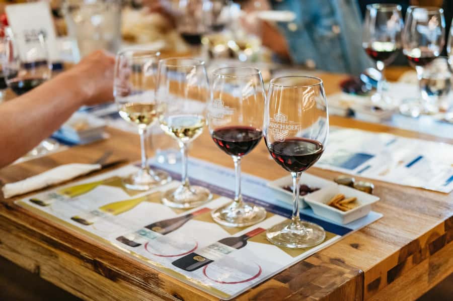 From Cape Town: 3 Regions Wine Tour with 3 Estates, 15 Wines - The first estate: cellar work, cheese, and a broad tasting