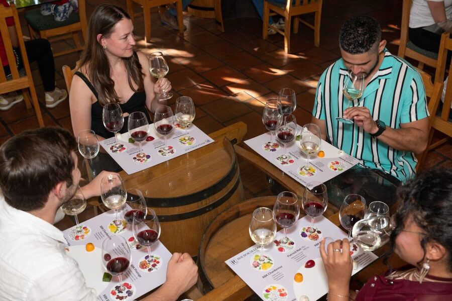 From Cape Town: 3 Regions Wine Tour with 3 Estates, 15 Wines - Paarl and the sweet wine and chocolate finale