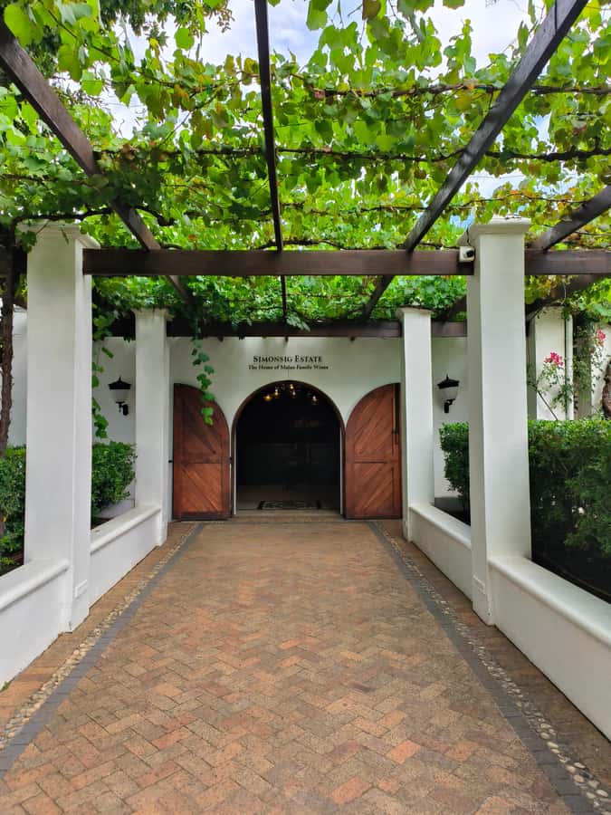 From Cape Town: Stellenbosch Four Estate Full-Day Wine Tour - What happens at the cellar and vineyard visit