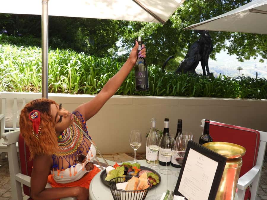 From Cape Town: Stellenbosch & Franschhoek Wine Tasting Tour - Tokara pairs wine with Helshoogte views