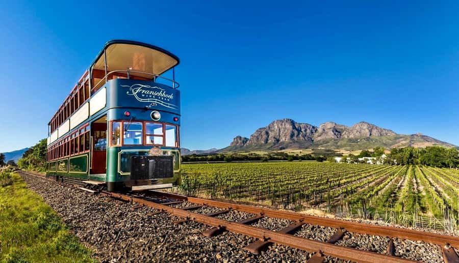 From Cape Town: Winelands Full Day Tour and Wine Tasting - Stellenbosch, the Cape’s wine-town introduction