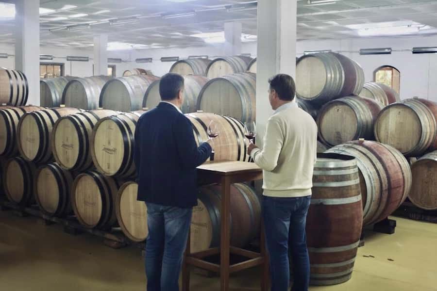 From Cape Town: Winelands Full Day Tour and Wine Tasting - How the day feels in practice