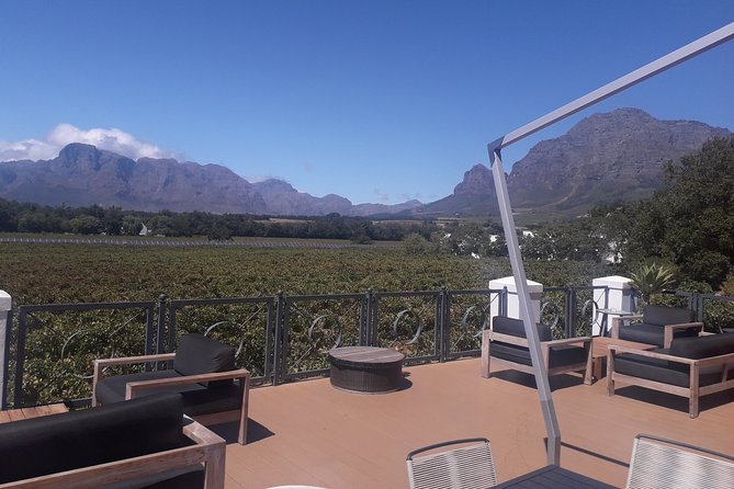 From CapeTown: Stellenbosch Half Day Wine Tour - Second farm: five wines with South African biltong