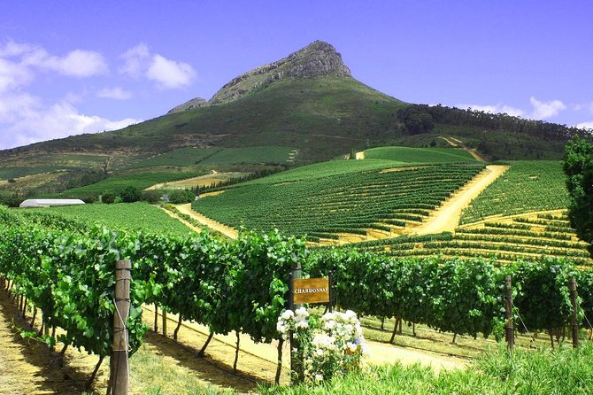 From CapeTown: Stellenbosch Half Day Wine Tour - Is $53.72 good value?