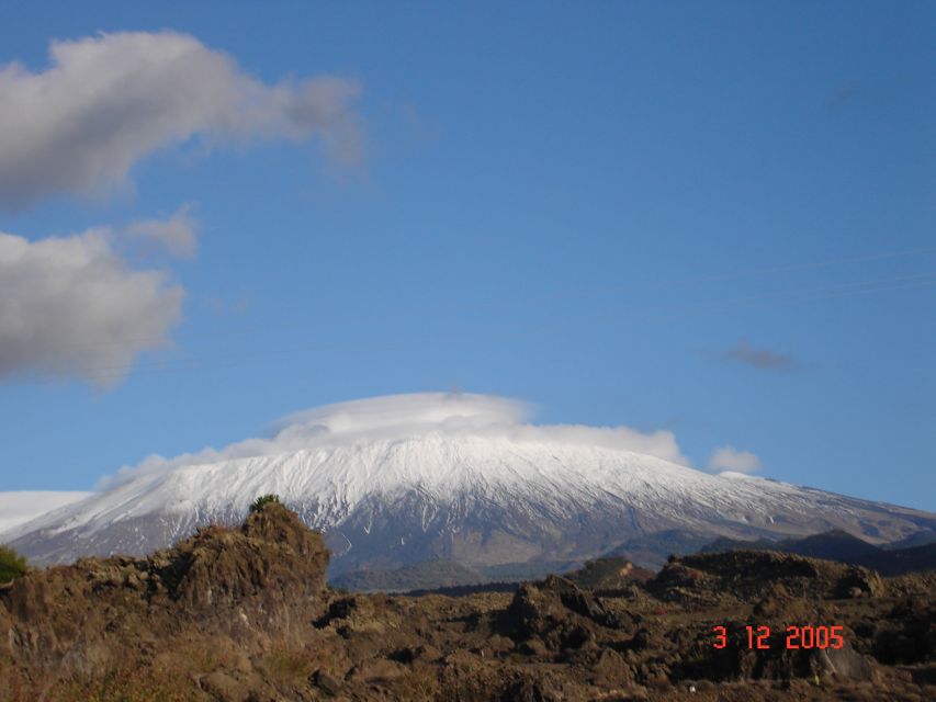 From Catania: Mount Etna Half-Day Tour and Wine Experience - Walking among Etna’s side craters
