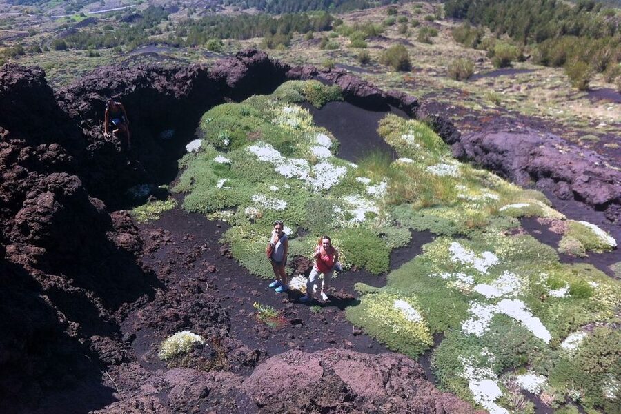 From Catania: Mount Etna Half-Day Tour and Wine Experience - Wine tasting near Zafferana Etnea