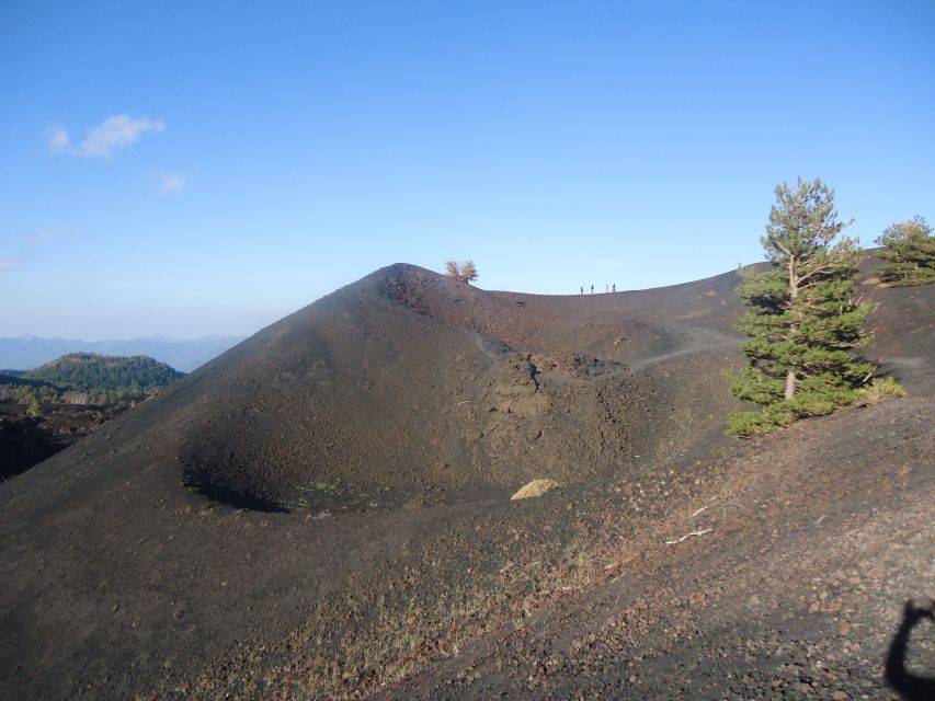 From Catania: Mount Etna Half-Day Tour and Wine Experience - The guides are a major part of the value