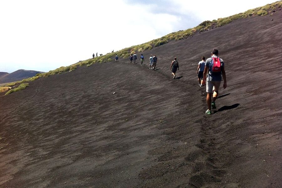 From Catania: Mount Etna Half-Day Tour and Wine Experience - Value, flexibility, and small drawbacks