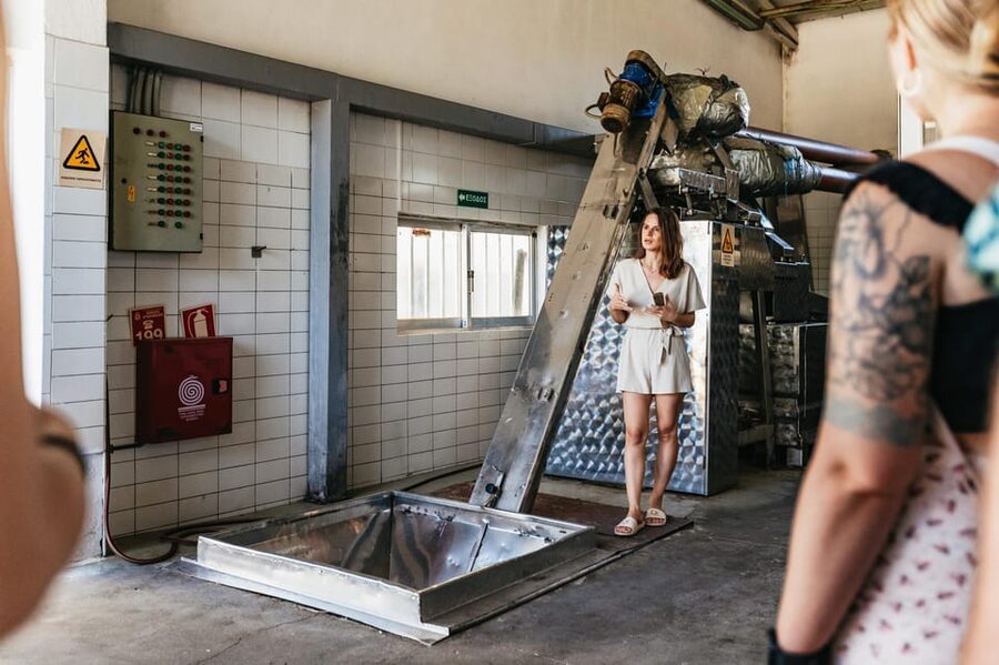 From Chania: Wine and Olive Oil Tasting Tour with Snacks - Learning how Cretan olive oil is made