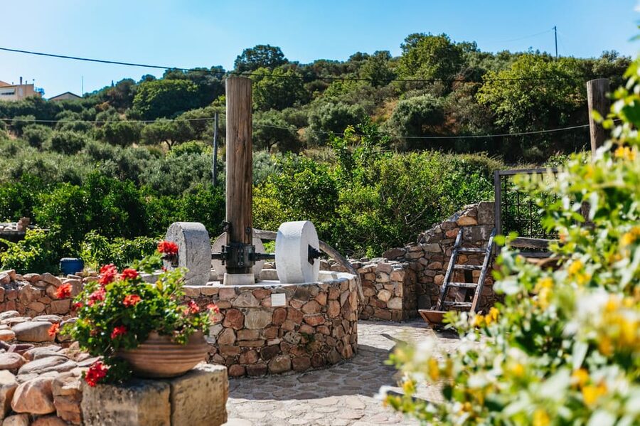 From Chania: Wine and Olive Oil Tasting Tour with Snacks - The food, the final drink, and the pace