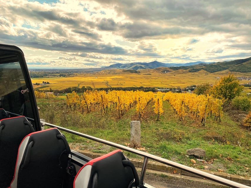 From Colmar: Alsace Medieval and Wine Tasting Day Tour - The vineyard tasting finishes the route