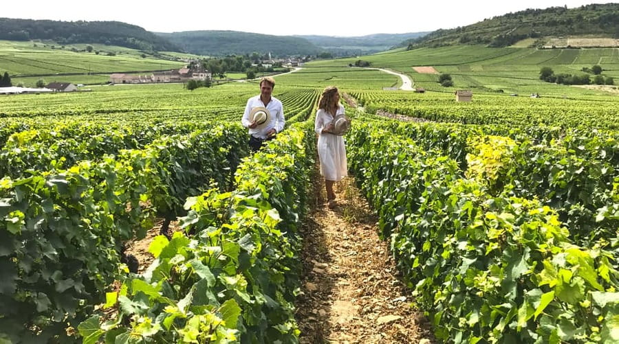From: Dijon/Beaune: Burgundy Region Winery Tour with Lunch - Key points to know before booking