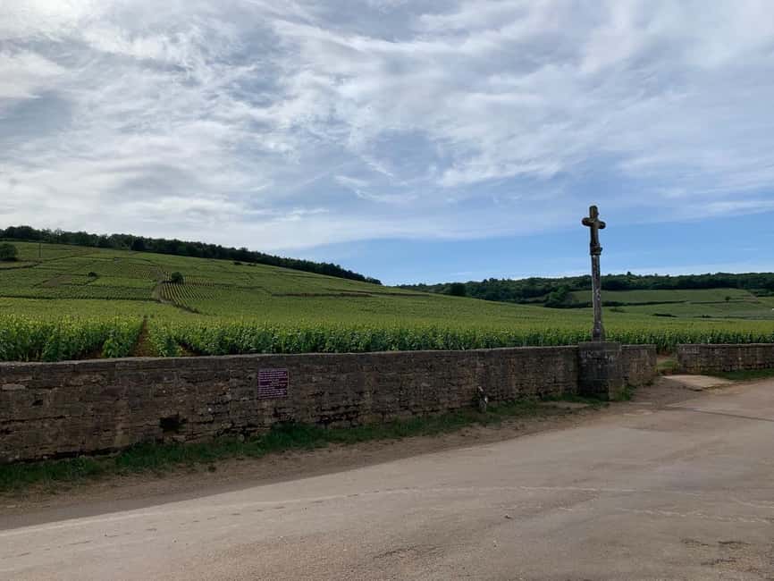From: Dijon/Beaune: Burgundy Region Winery Tour with Lunch - Final verdict: a strong first day in Burgundy
