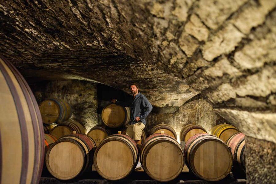 From: Dijon/Beaune: Burgundy Region Winery Tour with Lunch - Why this Côte d’Or tour works