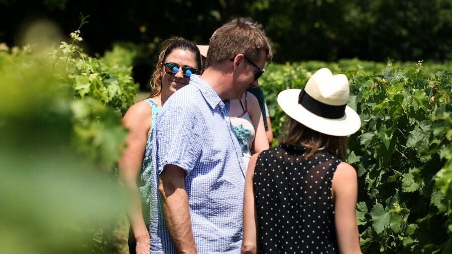 From: Dijon/Beaune: Burgundy Region Winery Tour with Lunch - The Route des Grands Crus and Burgundy’s village character