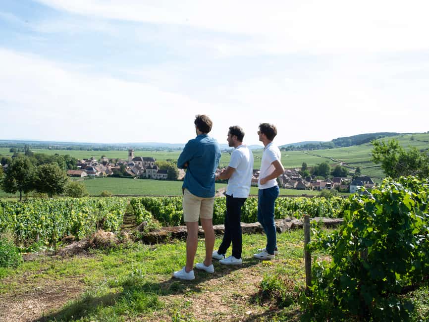 From: Dijon/Beaune: Burgundy Region Winery Tour with Lunch - Is $259 a fair price?