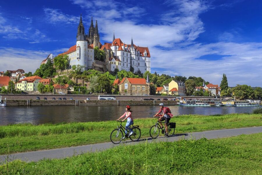 From Dresden: Saxon Wine Route Steamer Day Cruise - Price and value at $37 per person