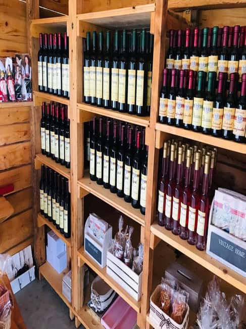 From Dubrovnik: Half-Day Wine Tasting and Cavtat City Tour - From Dubrovnik to the Konavle Valley