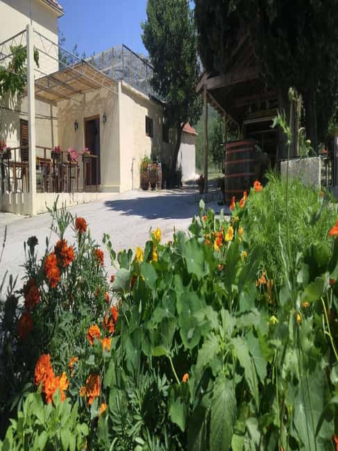 From Dubrovnik: Half-Day Wine Tasting and Cavtat City Tour - Four wines, with food made at home