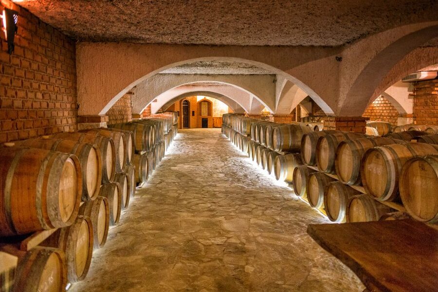 From Dubrovnik: Island of Korčula with wine tasting - The Bartulović family winery tasting