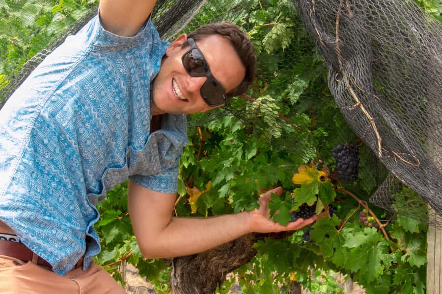 From Dunsborough/Busselton: Margaret River Wine Adventure - Three boutique wineries instead of one large cellar door