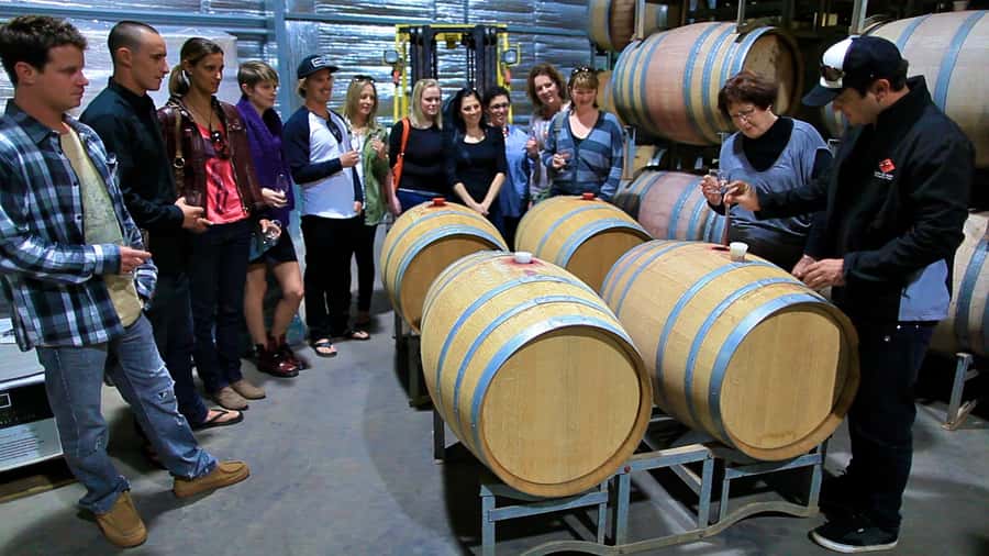 From Dunsborough/Busselton: Margaret River Wine Adventure - A generous pizza lunch at a winery restaurant