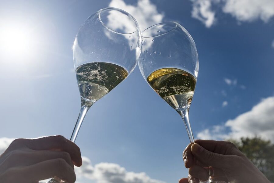 From Epernay : Bubble Champagne Tour 6 tastings - Hautvillers begins the Champagne story