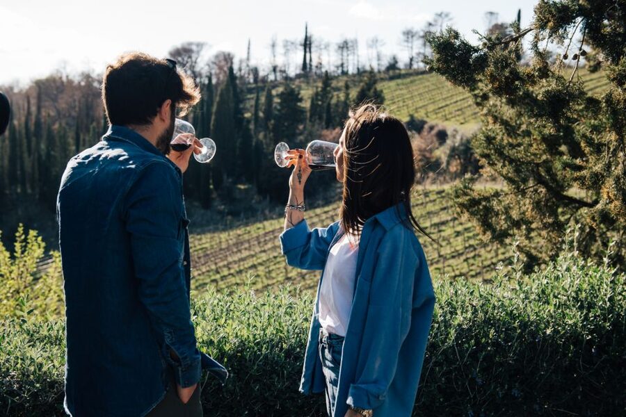 From Florence: Chianti Hills Half-Day Tour with Wine Tasting - The five details I would keep in mind