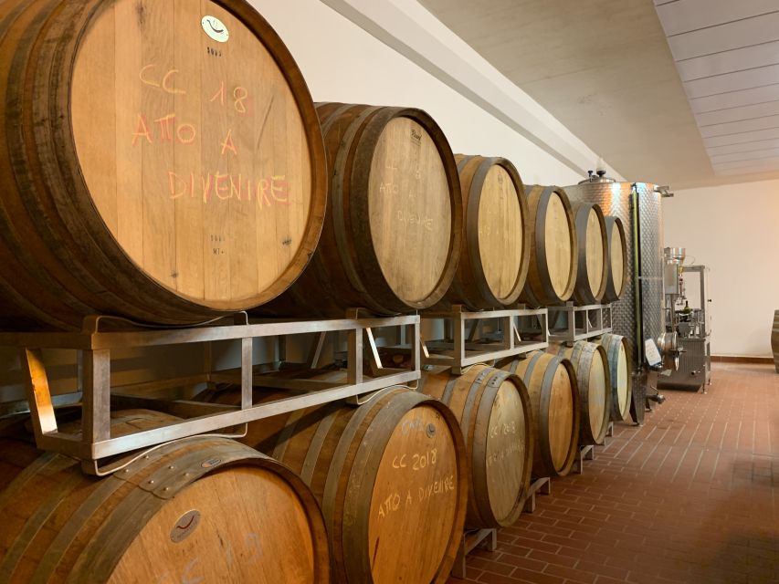 From Florence: Chianti Hills Half-Day Tour with Wine Tasting - What the $48 price really covers