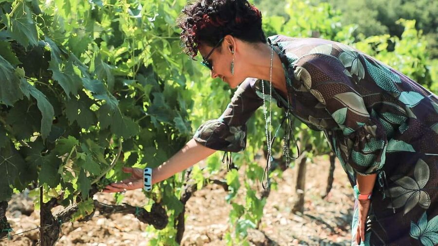 From Florence: Chianti Tour with Two Wine and Food Tastings - Key points at a glance