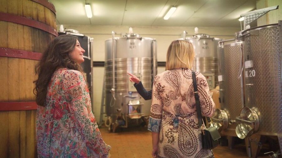 From Florence: Chianti Tour with Two Wine and Food Tastings - Timing, comfort, and practical details