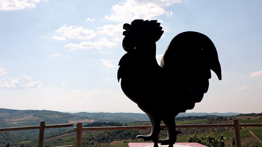 From Florence: Chianti Tour with Two Wine and Food Tastings - Is $58 good value from Florence?