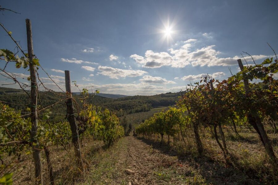 From Florence: Chianti Wine Tastings at Sunset Day Trip - Key points at a glance