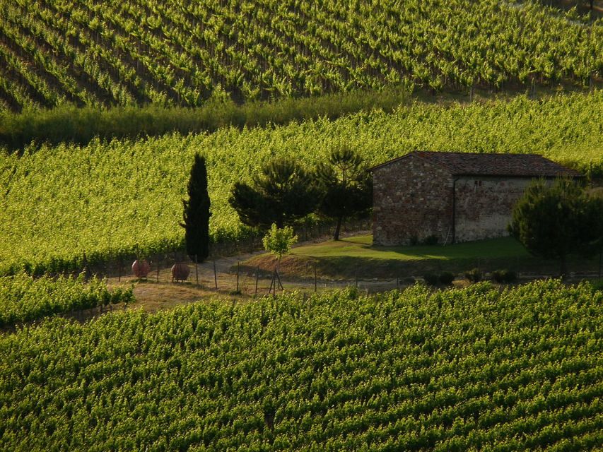 From Florence: Chianti Wine Tastings at Sunset Day Trip - Leaving Florence for Chianti after lunch
