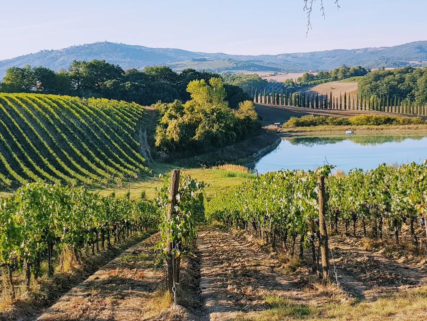 From Florence: Chianti Wine Tastings at Sunset Day Trip - Two cellars, two different personalities