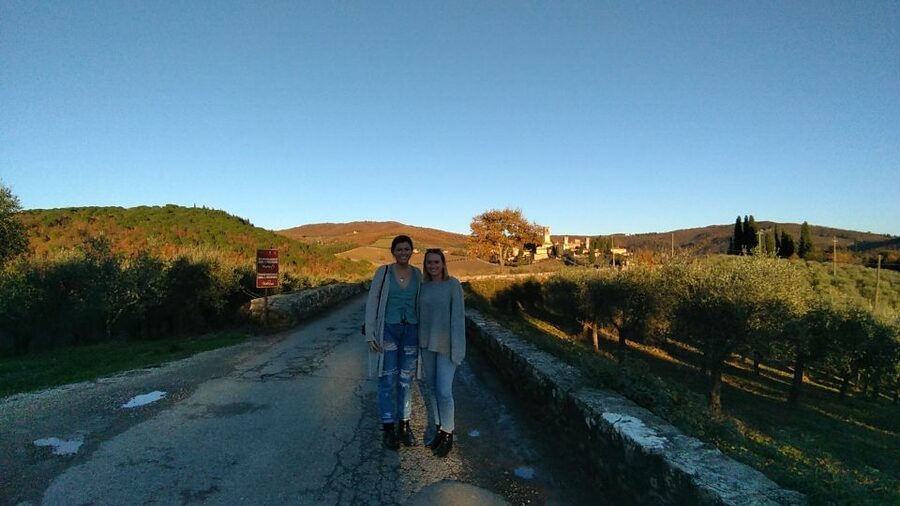 From Florence: Chianti Wine Tastings at Sunset Day Trip - The optional countryside dinner is worth considering