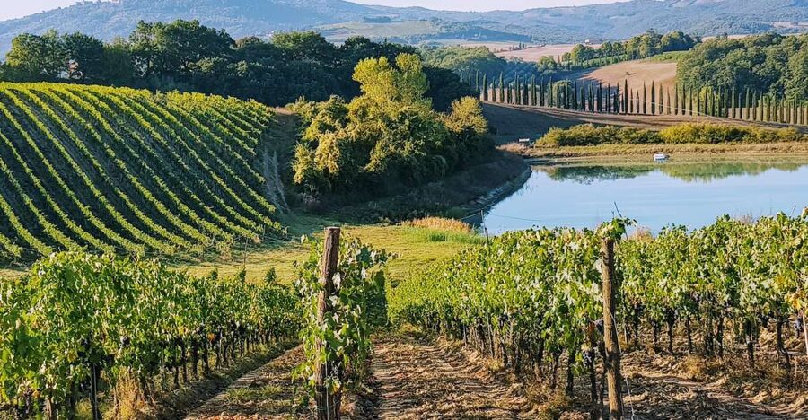 From Florence: Chianti Wine Tastings at Sunset Day Trip - Greve in Chianti and the first taste of the region