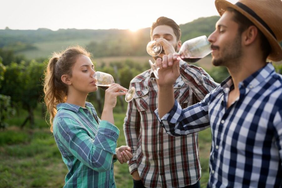 From Florence: Chianti Wine Tour with Tasting - Is $41 a good value?